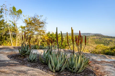 Ulwazi Rock Lodge